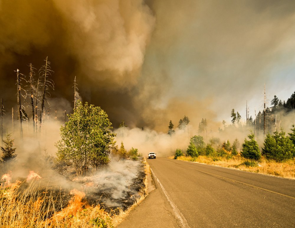 Essential Steps for Dealing with Wildfires: Preparedness and Response