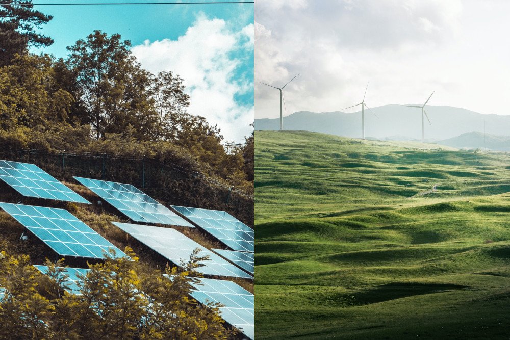 Choosing Between Solar Panels and Wind Turbines for Your Homestead: A Detailed Comparison